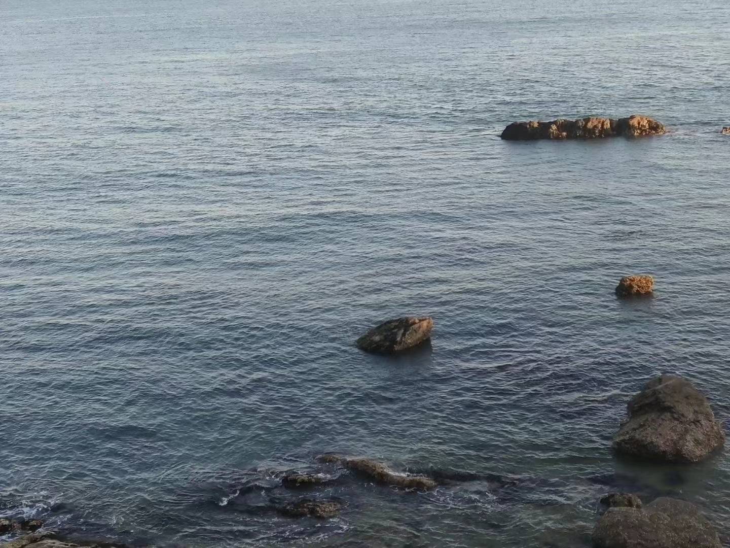 爸爸一疏忽儿子转眼不见跑到面包店蹭吃蹭喝见到警察还很高冷VR彩票