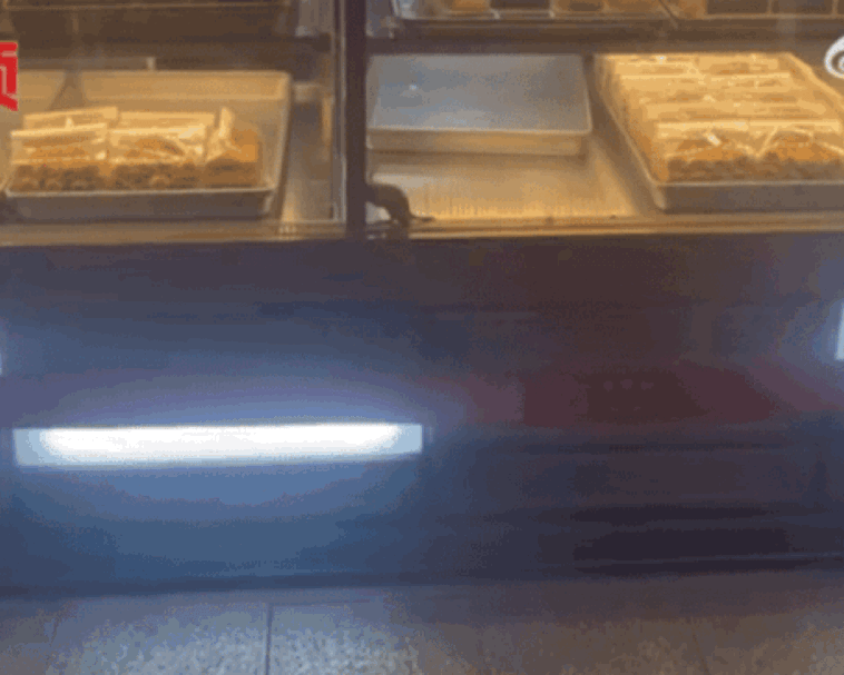 杭州鲍师傅糕VR彩票点湖滨店展柜旁有老鼠乱窜！上城区发布情况通报(图1)
