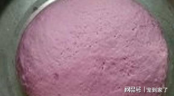 教你做一道宫廷糕点不用出去买了自家在家也能做着吃！VR彩票