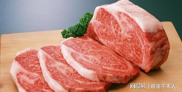 客观分析：中老年人应该多吃肉吗？饮食方面2个“细节”要注意VR彩票(图1)