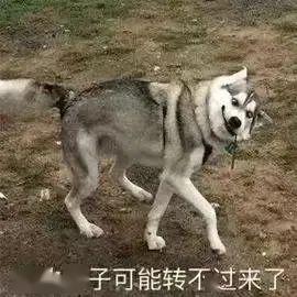 VR彩票不要过度沉迷罗翔的刑法课(图13)