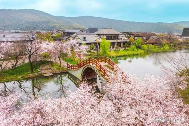 拈花湾花朝节：许你满城花开共赴一场春日盛宴VR彩票(图1)