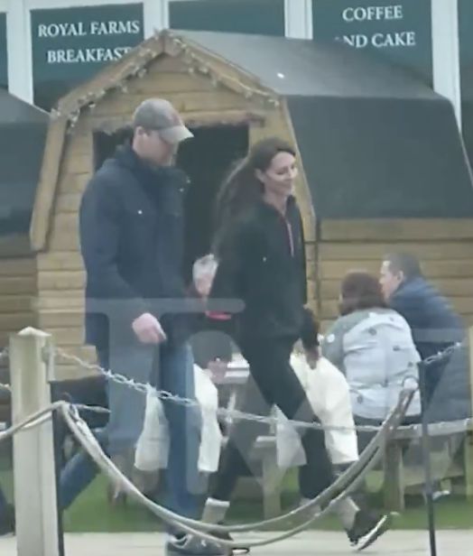 英媒：凯特王妃发布视频称“正在接受癌VR彩票症治疗”哈里夫妇、查尔斯三世、苏纳克发声(图2)